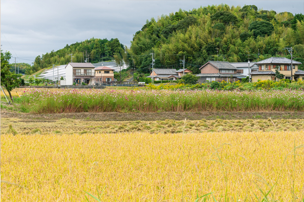 ストレス解消に