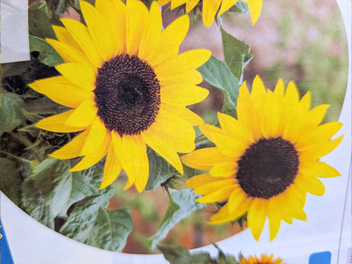 栽培場所の画像