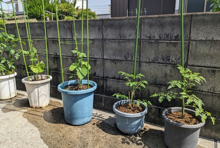 栽培場所の画像