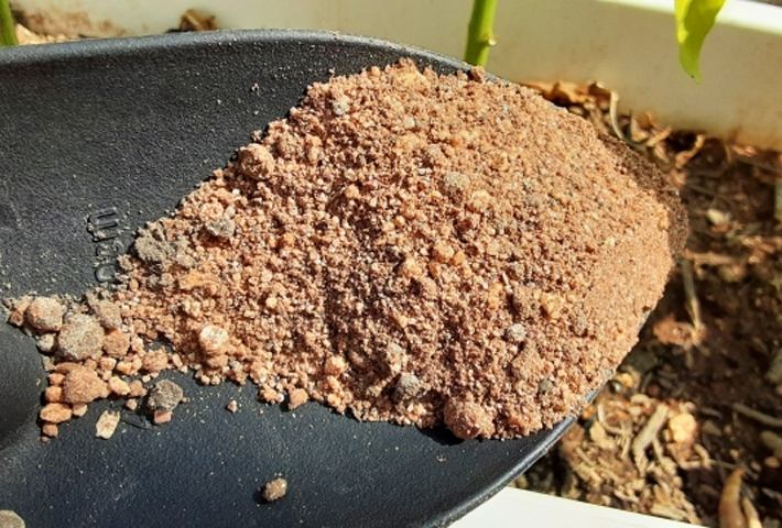 栽培場所の画像