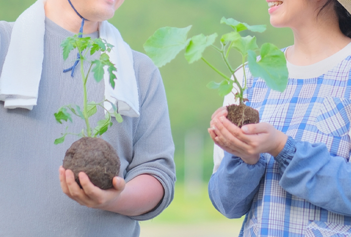 栽培場所の画像