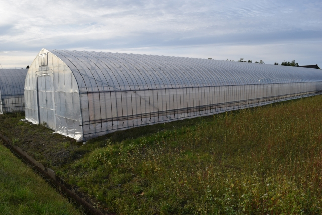 ハウス農ビの画像