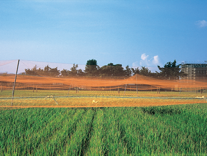 防鳥網の画像