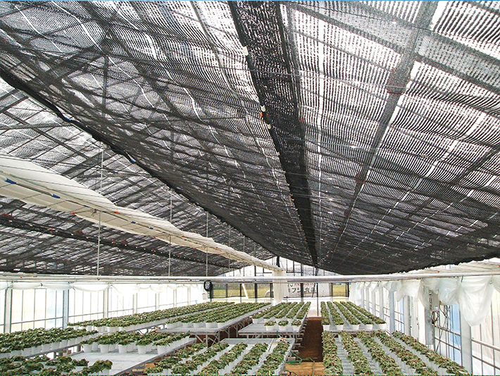 遮光ネットの画像