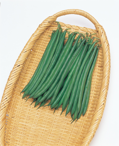 インゲンの画像