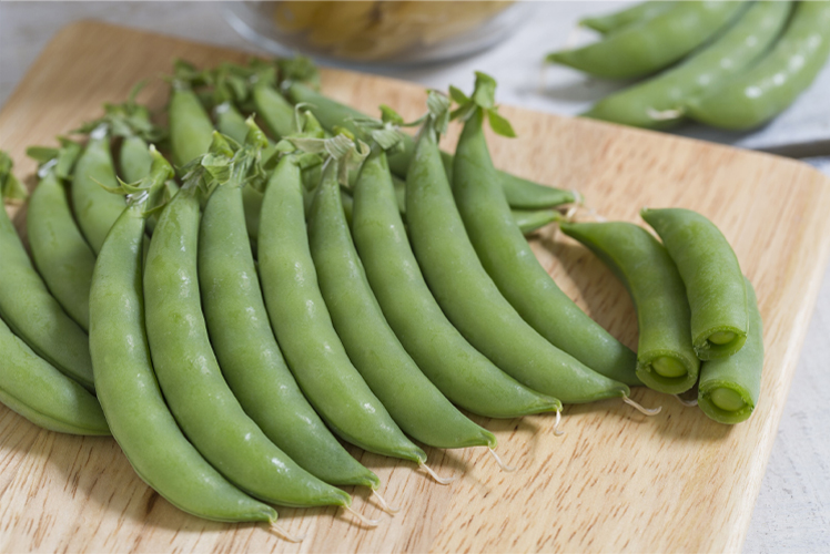 エンドウの画像