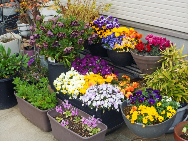 プランターの画像