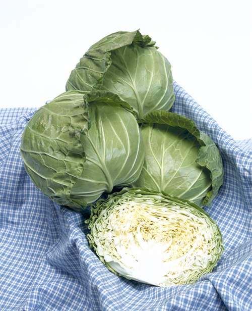 キャベツの画像