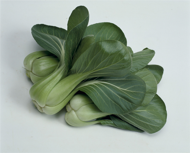 チンゲンサイの画像