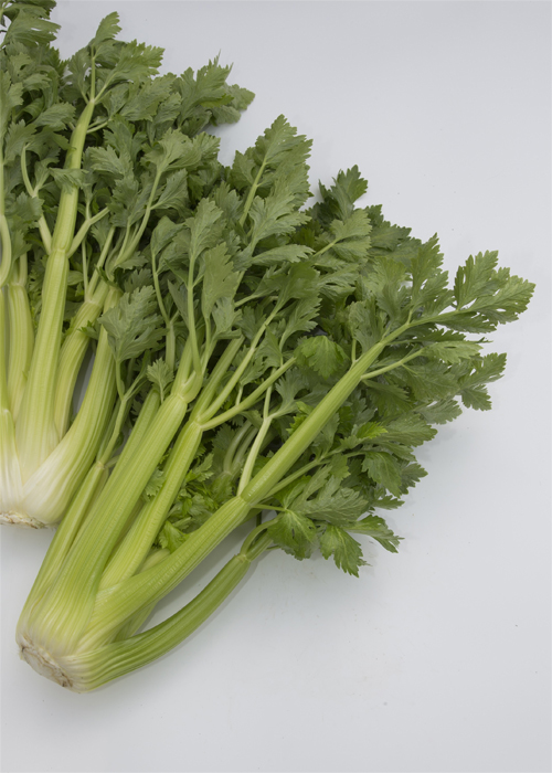 セルリーの画像