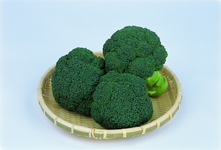 ブロッコリーの画像