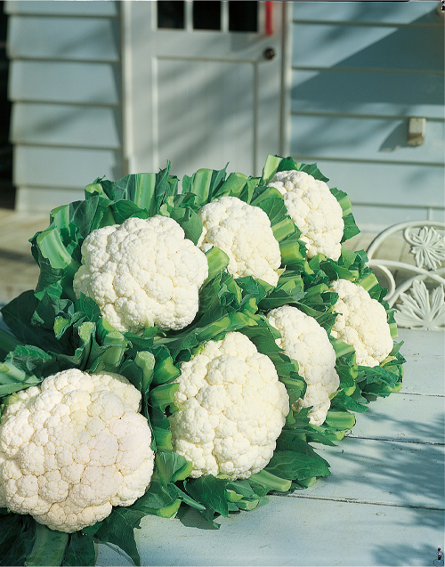 カリフラワーの画像
