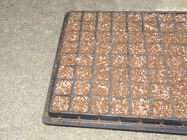 種まきの土の画像