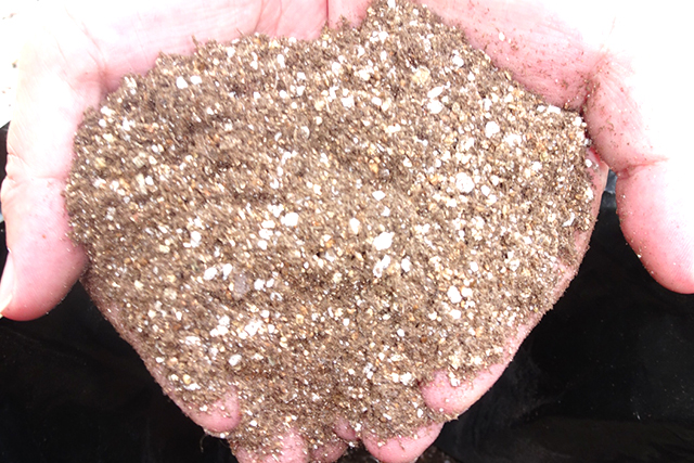 育苗の土の画像