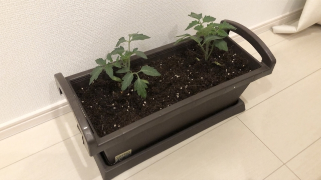 プランターの土・各種の画像