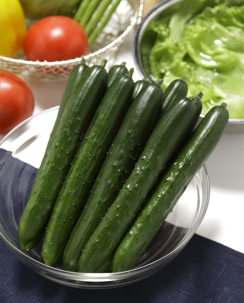 キュウリの画像