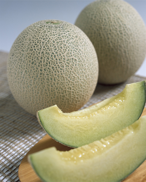 メロンの画像