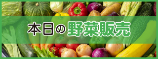 今日の野菜販売