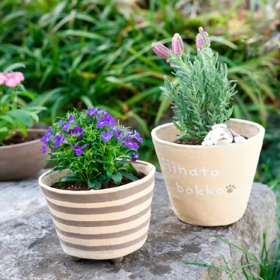 ひなたぼっこ150g 4色セット - 画像 (4)