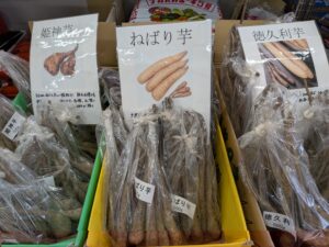 とろろ芋入荷しました✨