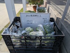 野菜（青果物）販売中です